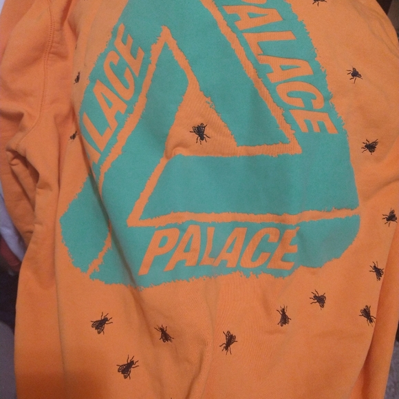 Fly Palace Hoodie Orange Size XL (fits like a large) - Picture 4 of 4